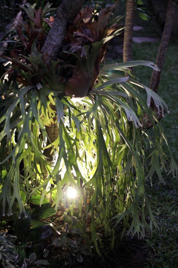 Sari House Ubud - Balinese Style Homestay 外观 照片